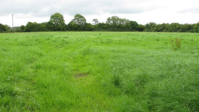 Just 0.5% of Irish agricultural land changed hands in 2016