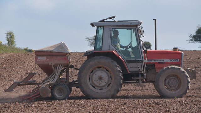 Good seed-bed preparation is proving its worth in the south-east