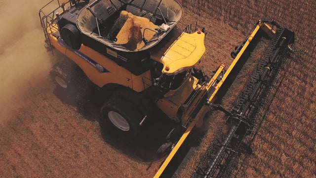 Grain price: Markets rested until Friday