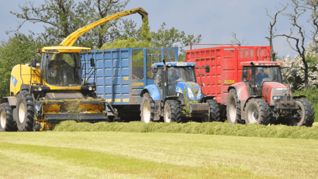 How much will it cost to get your (pit) silage cut?