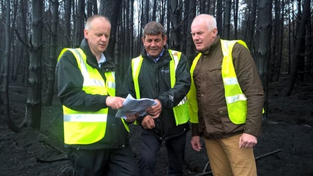 Illegally burnt land must be removed from 2017 BPS applications