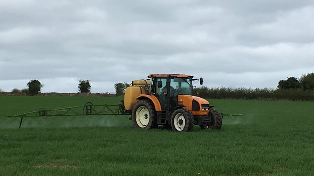 Best-practice cereal management tips - for the month of May