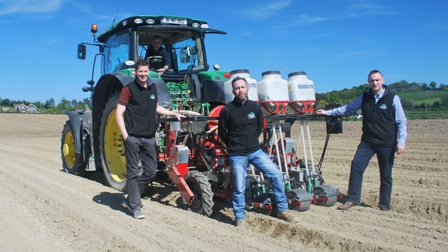 'Busy carrot planting season a success - for upcoming July harvest'