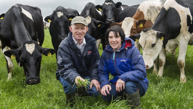 Dairygold annual Milk Quality Awards winner announced
