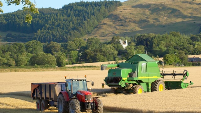 Scottish farm incomes take a hit of almost 50%