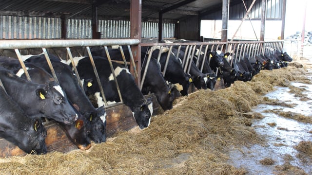 UFU warns of mounting pressure on NI farmers over Brexit