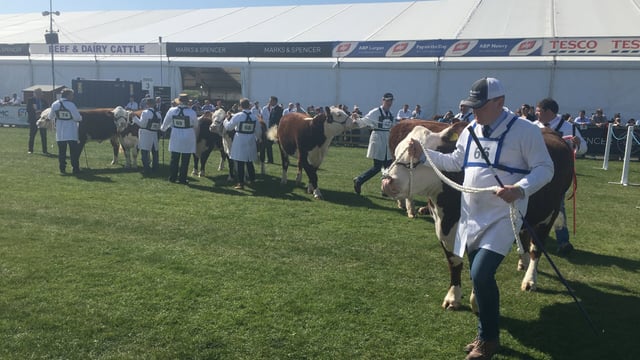 Video: Watch the first day at Balmoral Show 2017