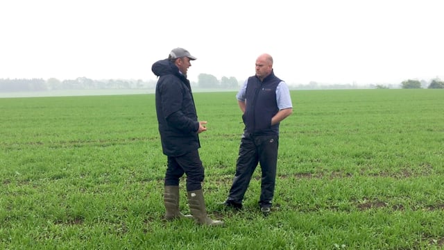 CROPS WATCH is back: Here's what we're looking at in 2018
