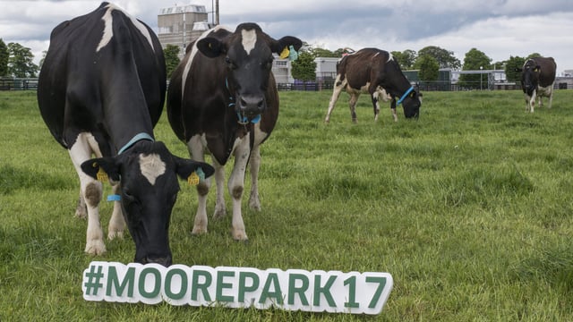 €10 increase in EBI means 2% cut in carbon emissions
