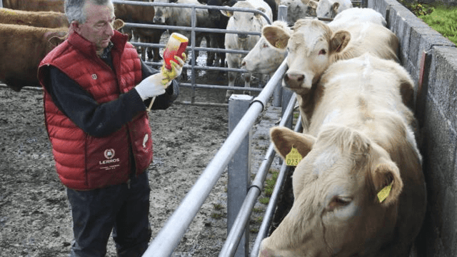 Major food-service companies pledge to go 'antibiotic-free'