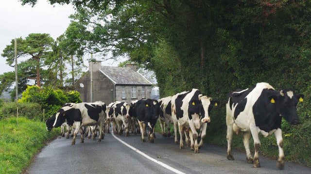 Poll: Should farmers' own labour costs be included in the National Farm Survey?
