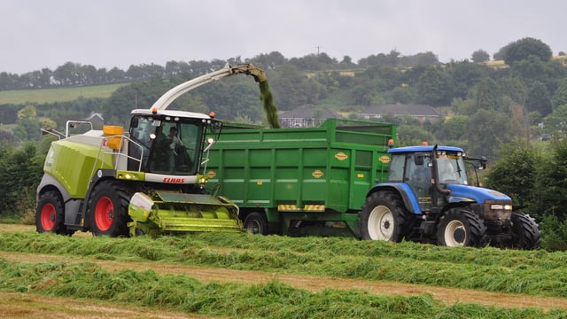 Reminder: The 'Great Grass Event' aims to set new forager world record tomorrow