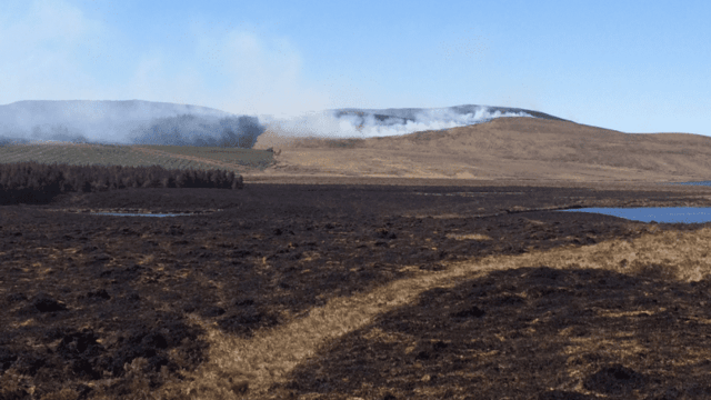 ‘Excluding illegally burnt land from farmers’ BPS applications is not fair’