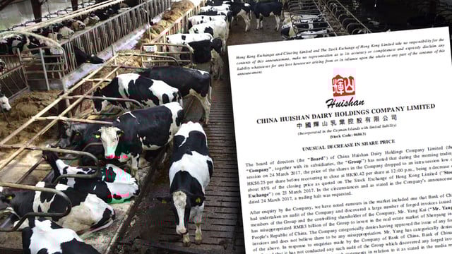 Regulators put Chinese dairy titan's shares on lockdown