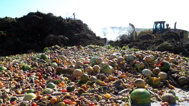 Funding of almost €180,000 for food waste reduction project