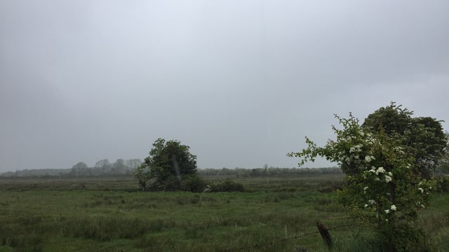 Weather to remain largely mixed and changeable
