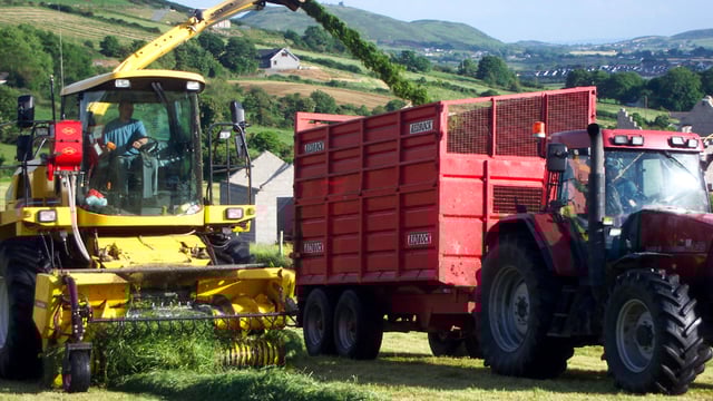 Young farmer snubs court date in favour of silage