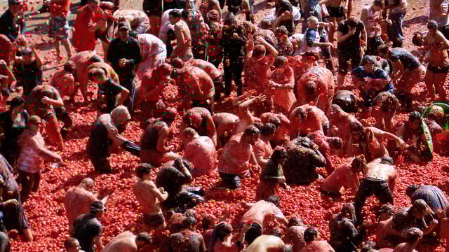 Pasta solo! Poor weather sends European tomato prices through the roof
