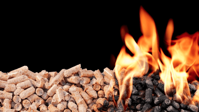 NI farmers cleared of wrongdoing after RHI audit
