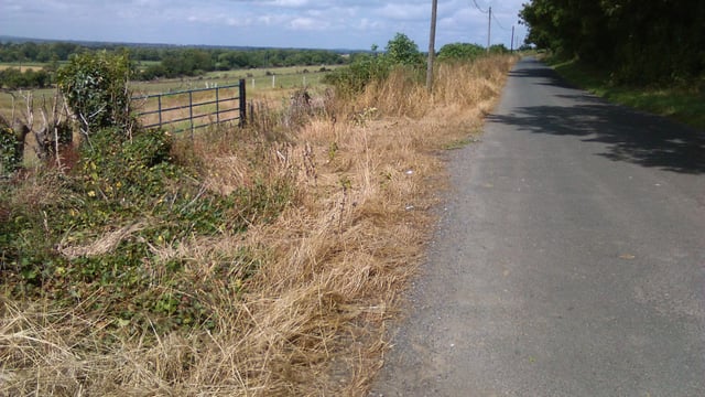Oireachtas report finds 'uneven' transport services in rural areas