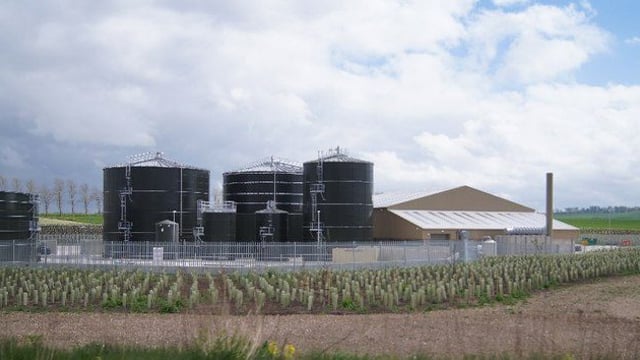 'Renewable gas could supply a quarter of Irish natural gas needs'