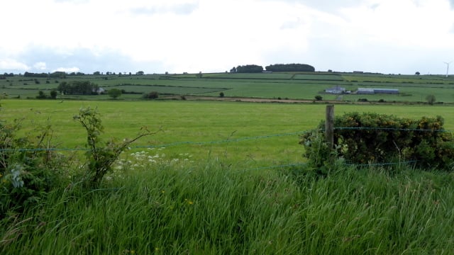 'Environment proposals are short-changing Irish farmers'
