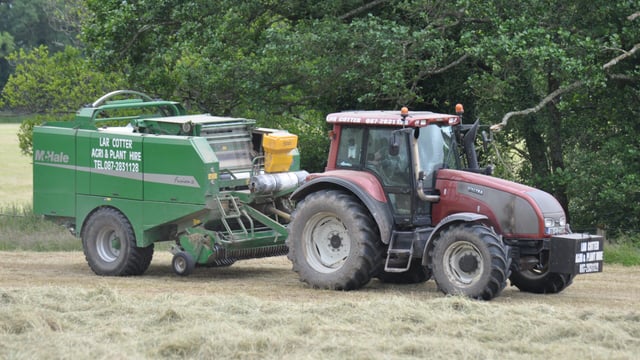 Is haylage an option after wet weather?