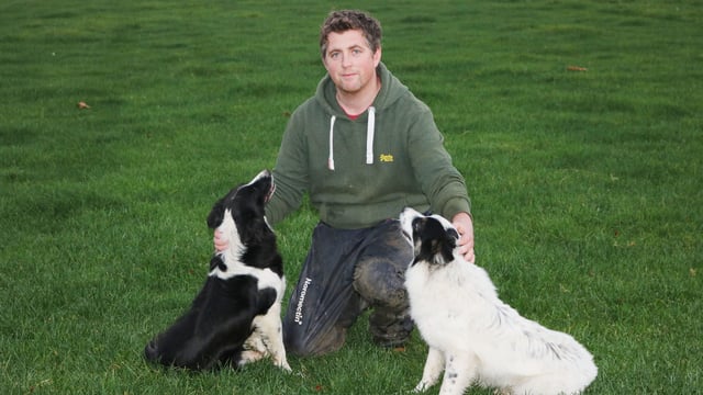 School's out for Kildare pedigree farmer