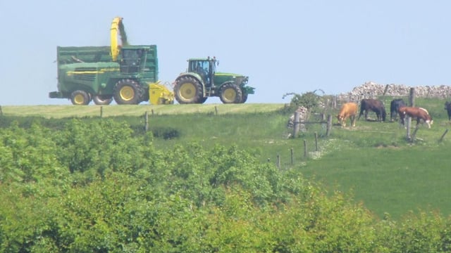 Sustainable Irish farming photo comp - give it your best 'shot'