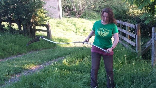 'WWOOFing' wins over growing band of Irish organic farmers