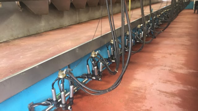 Loss of EU markets due to 'way too much iodine in our milk'