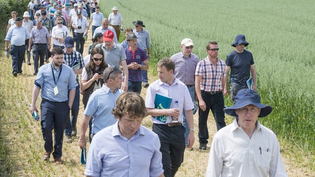 Recommended varieties, trial work and more at ISTA open day