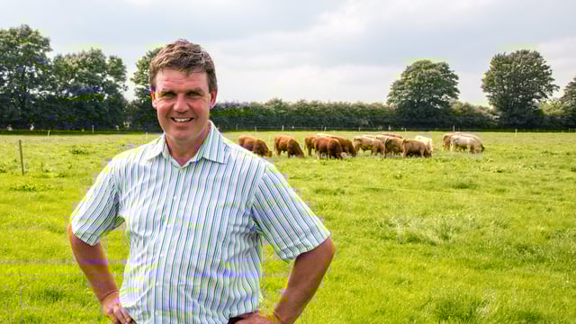 Pics: Maximising profitability from a suckler-to-beef herd