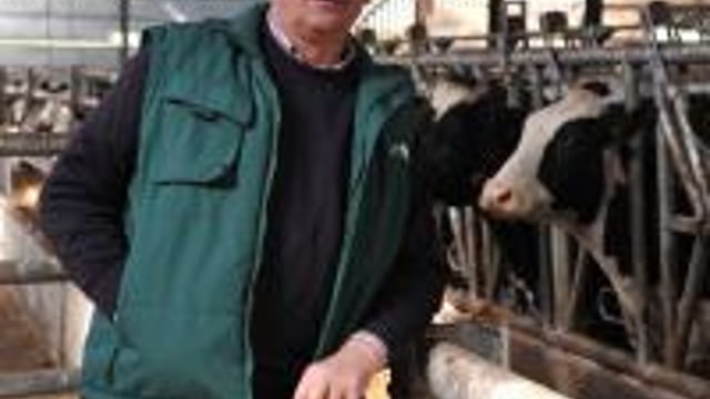 English farmers downbeat on Brexit ‘despite voting leave’