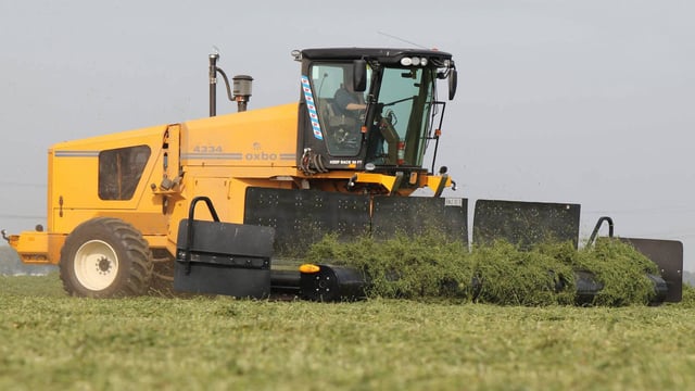 Have you ever seen a self-propelled silage 'merger'?
