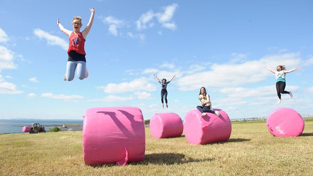Bales will be dressed to impress for stylish silage contest