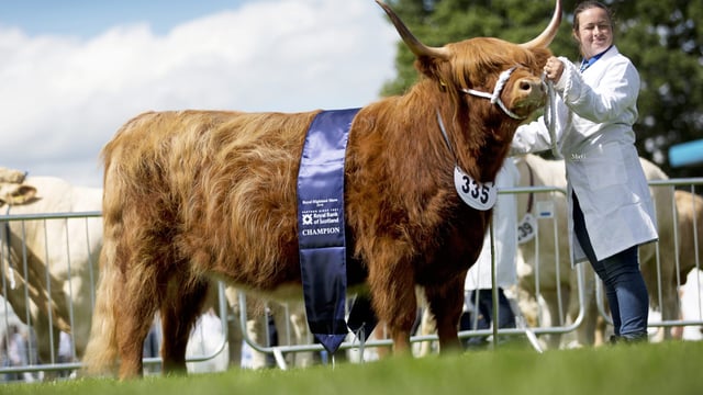Royal Highland Show gets underway today