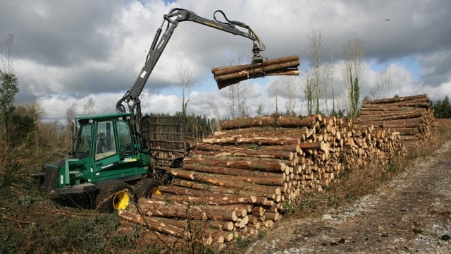 Doyle announces clinics for online forestry premium application