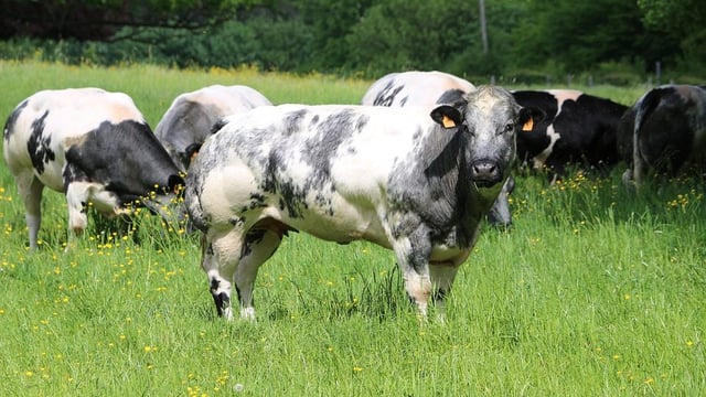 Agricultural science student award winners announced