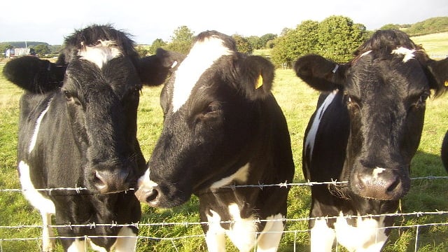 'North Tipp inspection concerns need to be confronted - countrywide'