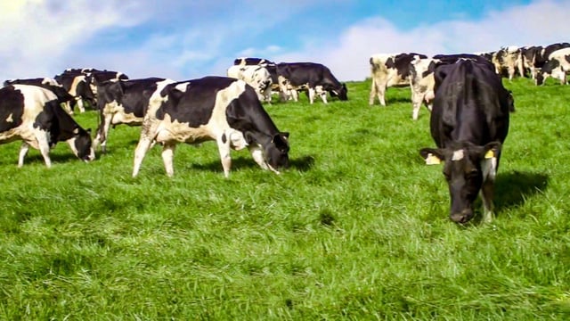 Breeding season: Wrapping up as early as possible