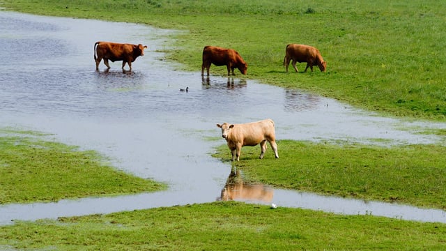Threat of serious flooding leaves farmers 'living in fear'