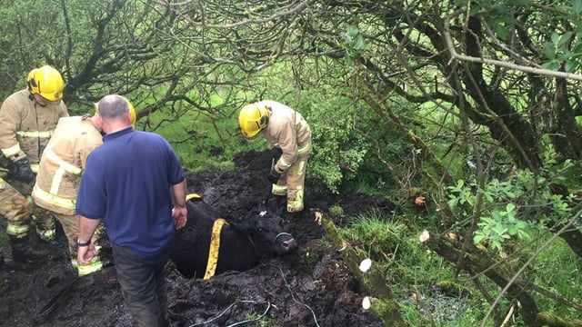 Pics: Firefighters come to the aid of two separate farmers to rescue animals