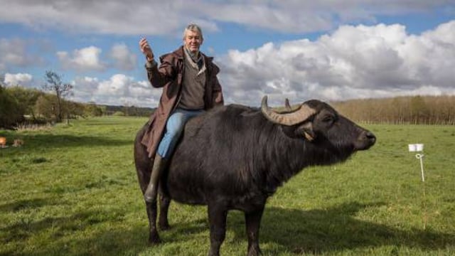 Cork buffalo farmer says 'cheese' for TV ad