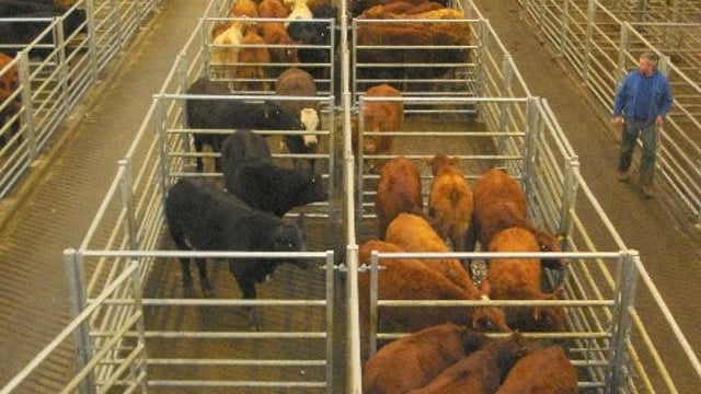 Department of Agriculture employee fined for assaulting farmer at the mart