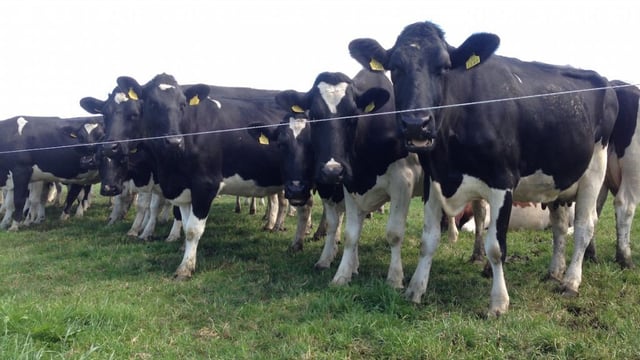 Handing the farm over - whilst still in your 50s