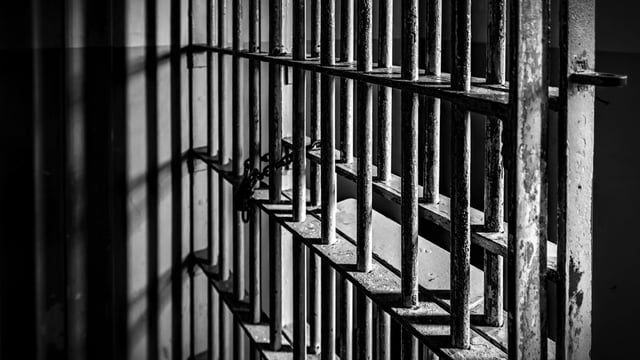 30 sentenced to jailtime under Animal Welfare Act since 2014