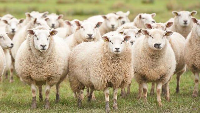 Farm Assist recipients fall 33% in 5 years