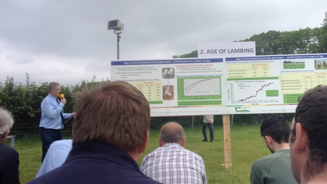 Expert insights and tech info lined up for Sheep 2025 in Galway