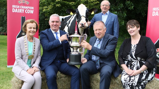 Champion Cow comp seeks 'cream of the crop'